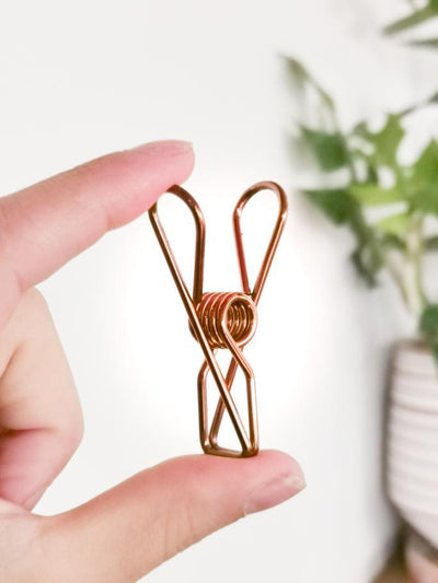 Rose gold marine gold pegs NZ