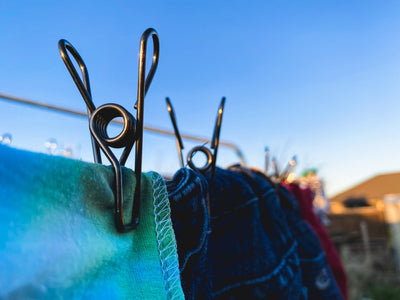 Coloured stainless clothes pegs NZ