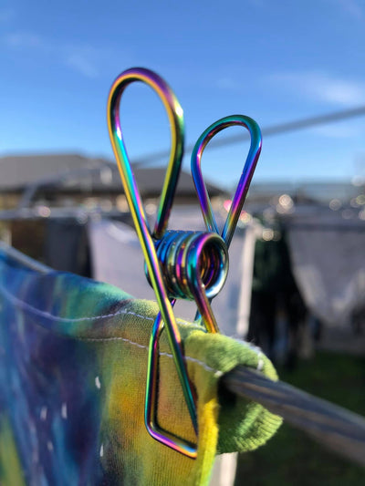 Rainbow stainless steel Pegs nz