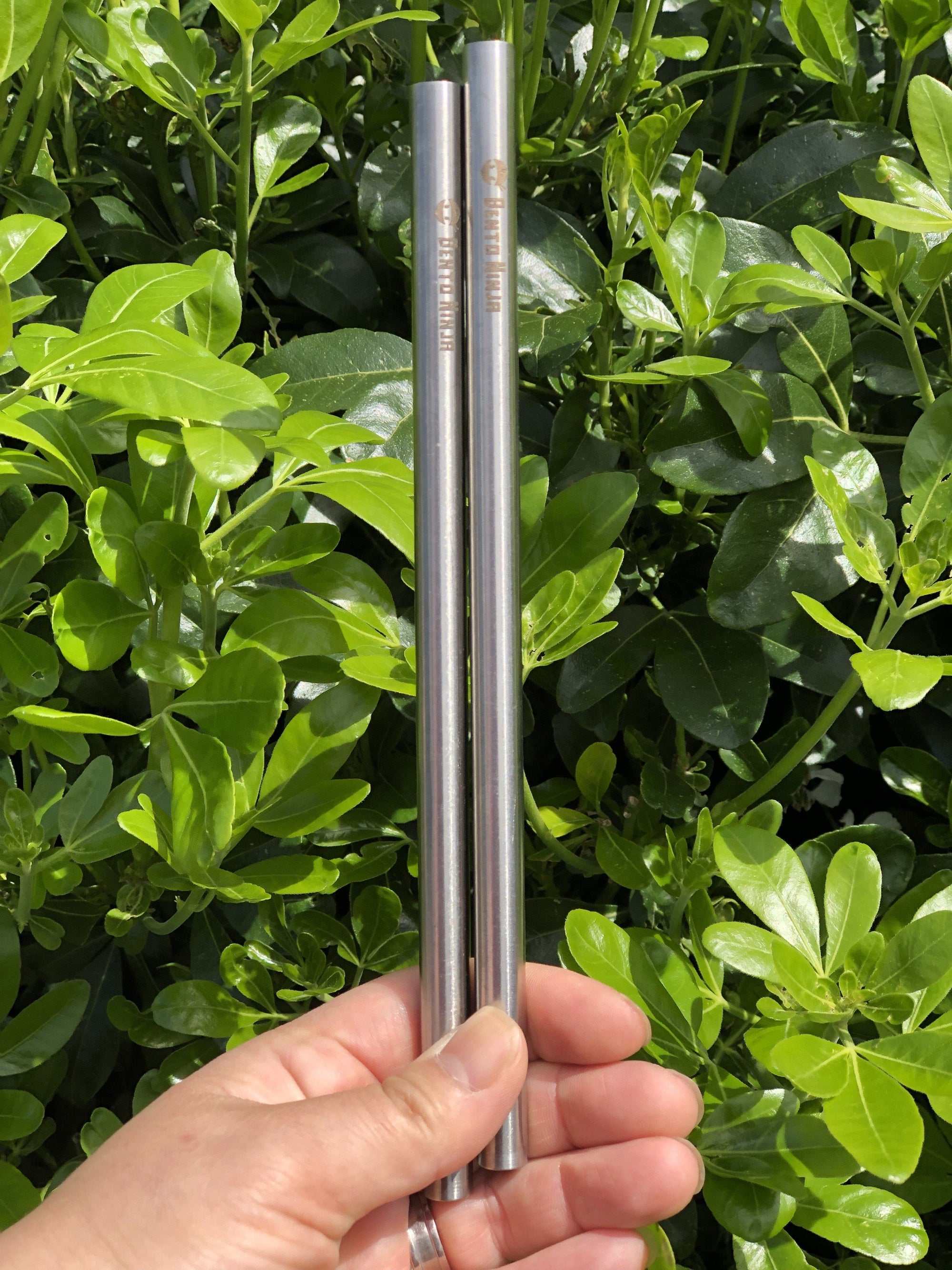 best kids stainless steel straw nz