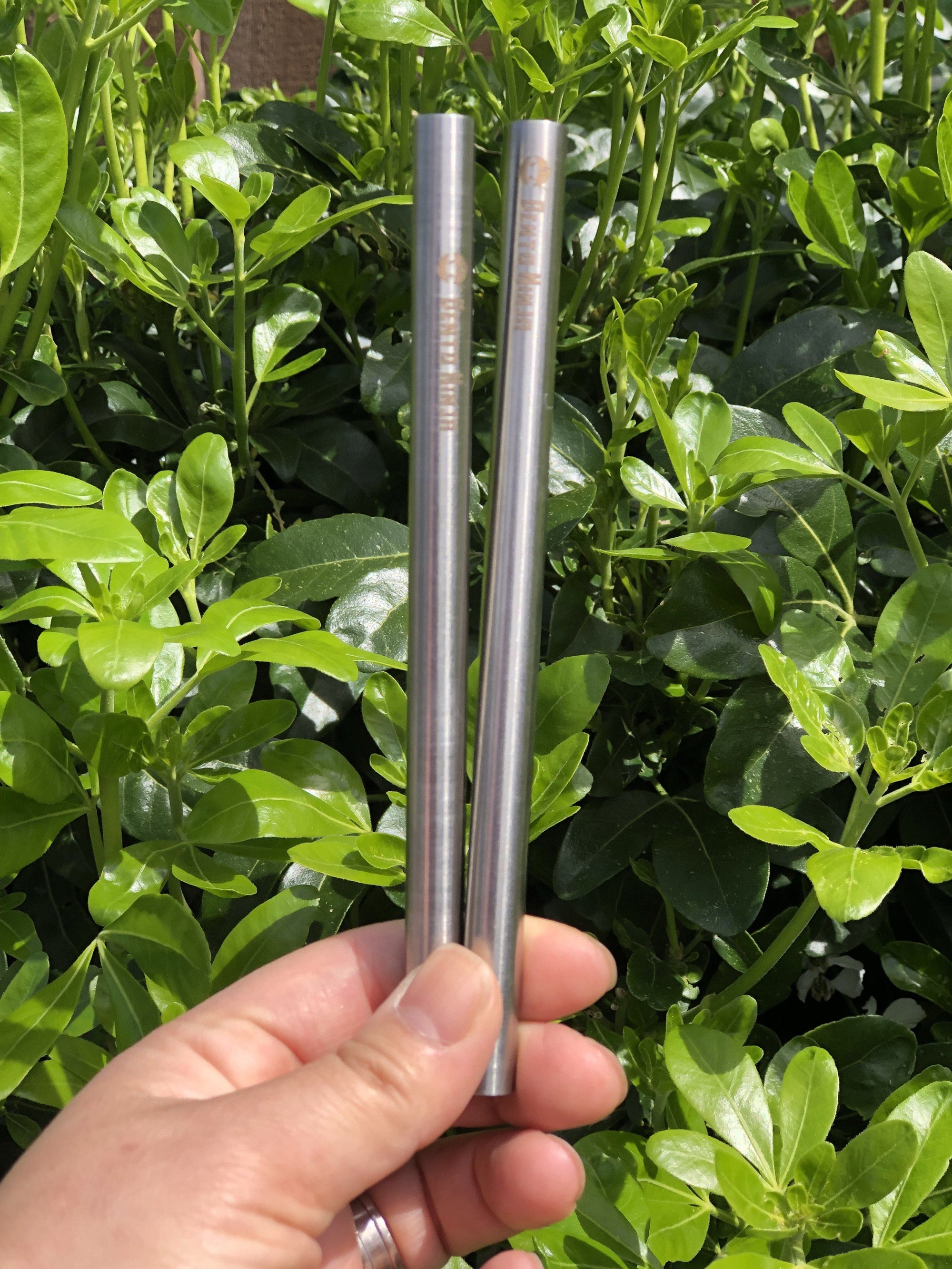 kids stainless steel straw nz