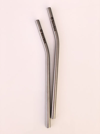 smoothie stainless steel straw nz