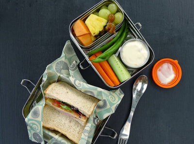 affordable stainless steel bento lunchbox nz
