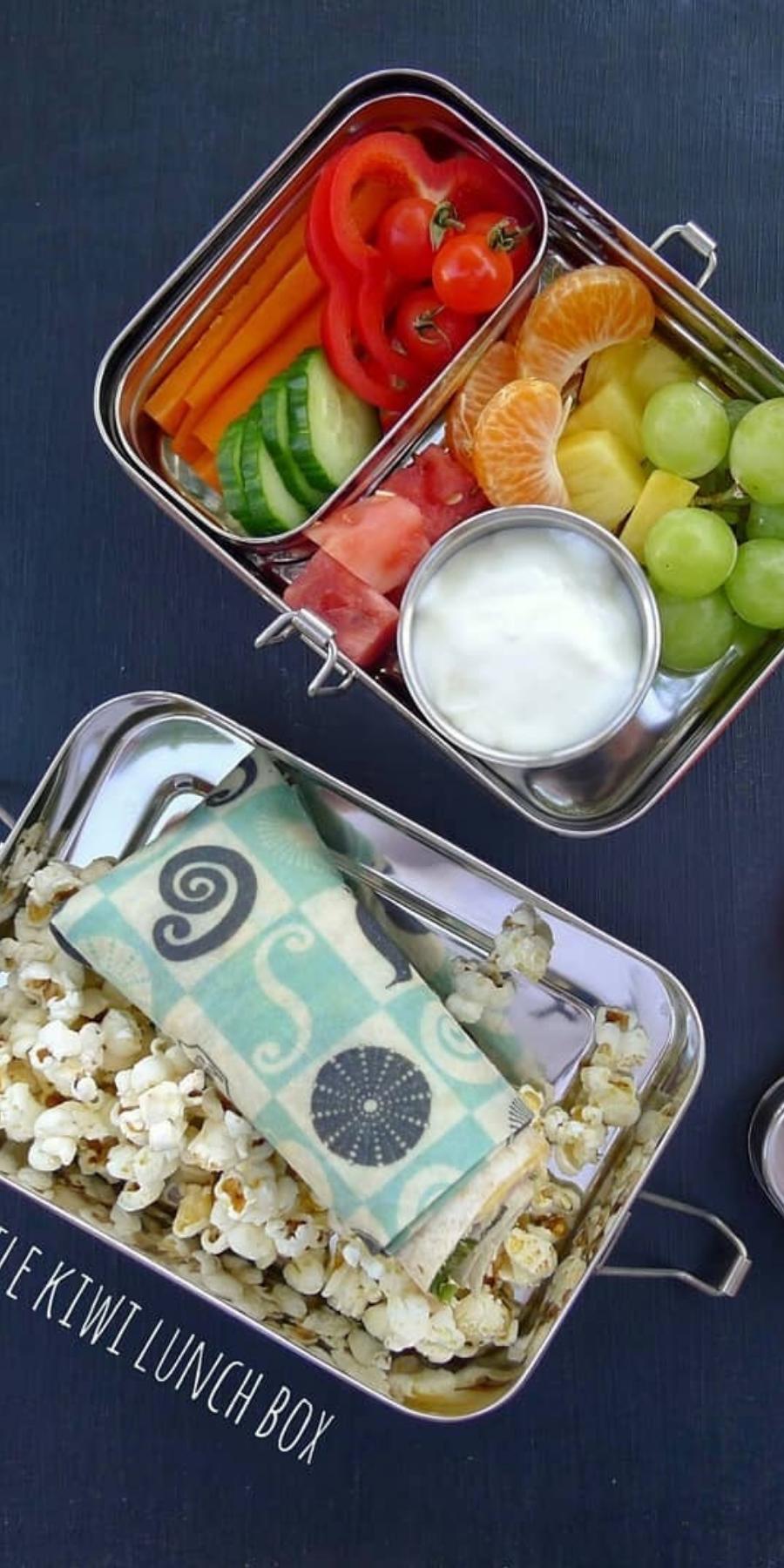 The Coolest Lunch! New Eco Ice Packs for Lunch Boxes - Kinsho Kitchen