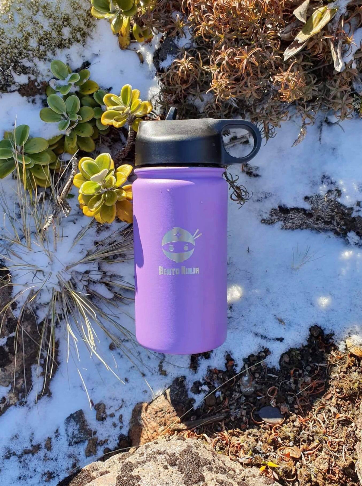 Best double insulated water bottle